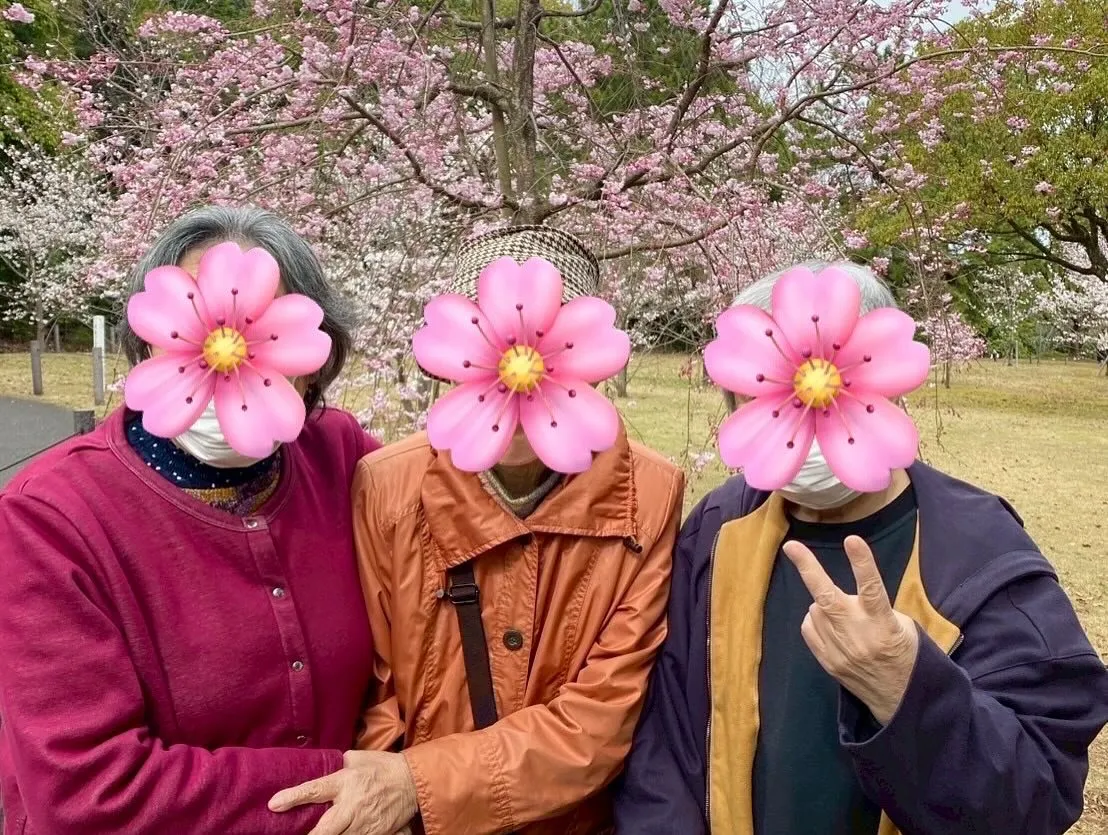 先日、公園に行き桜と菜の花を見に行ってきました🌸🌼