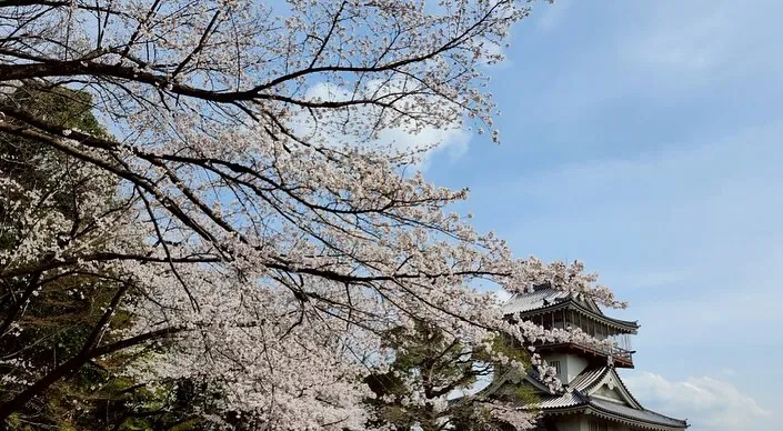 4月5日は午前中に脳トレと体操を行い、