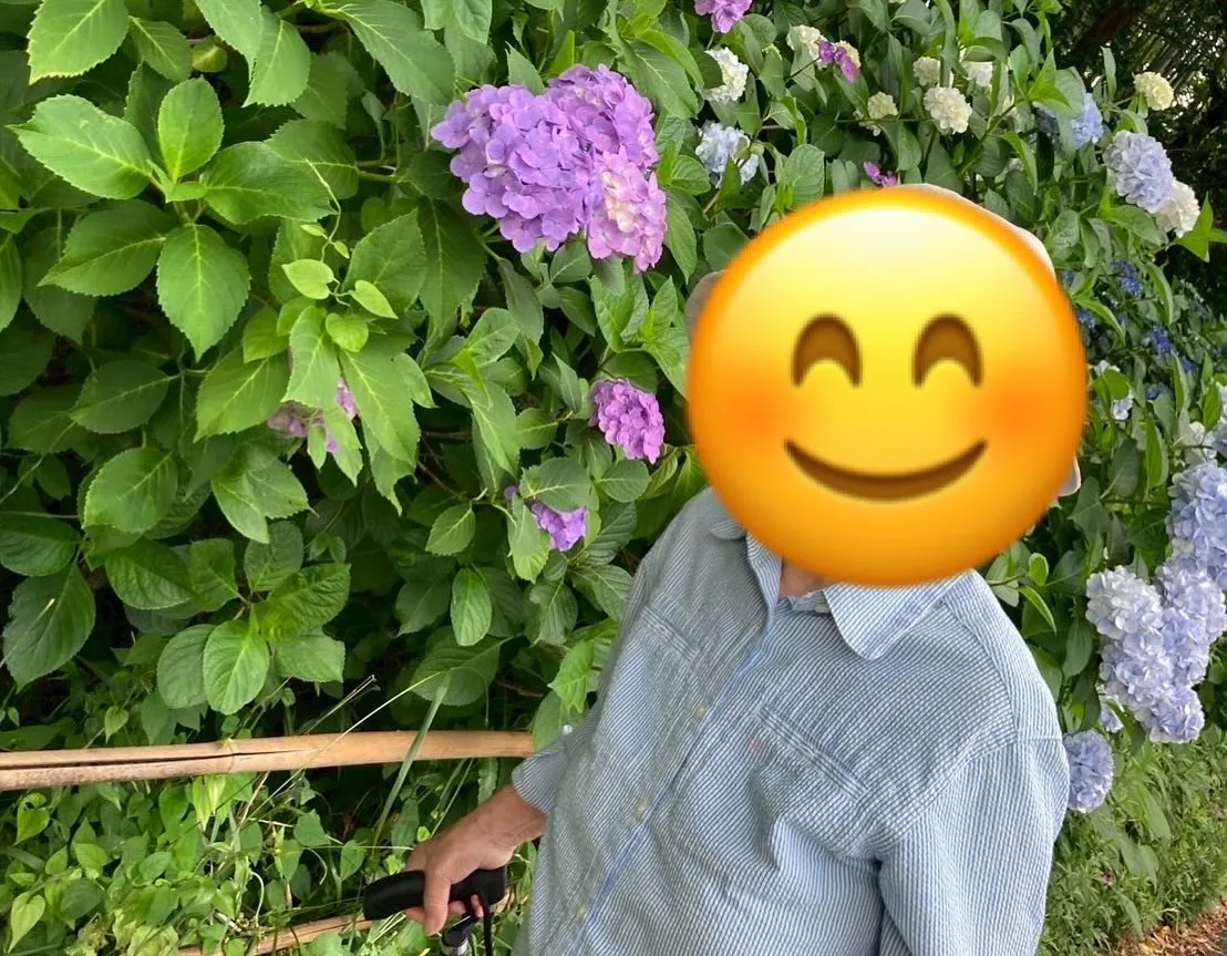 6月の下旬、大高緑地公園に