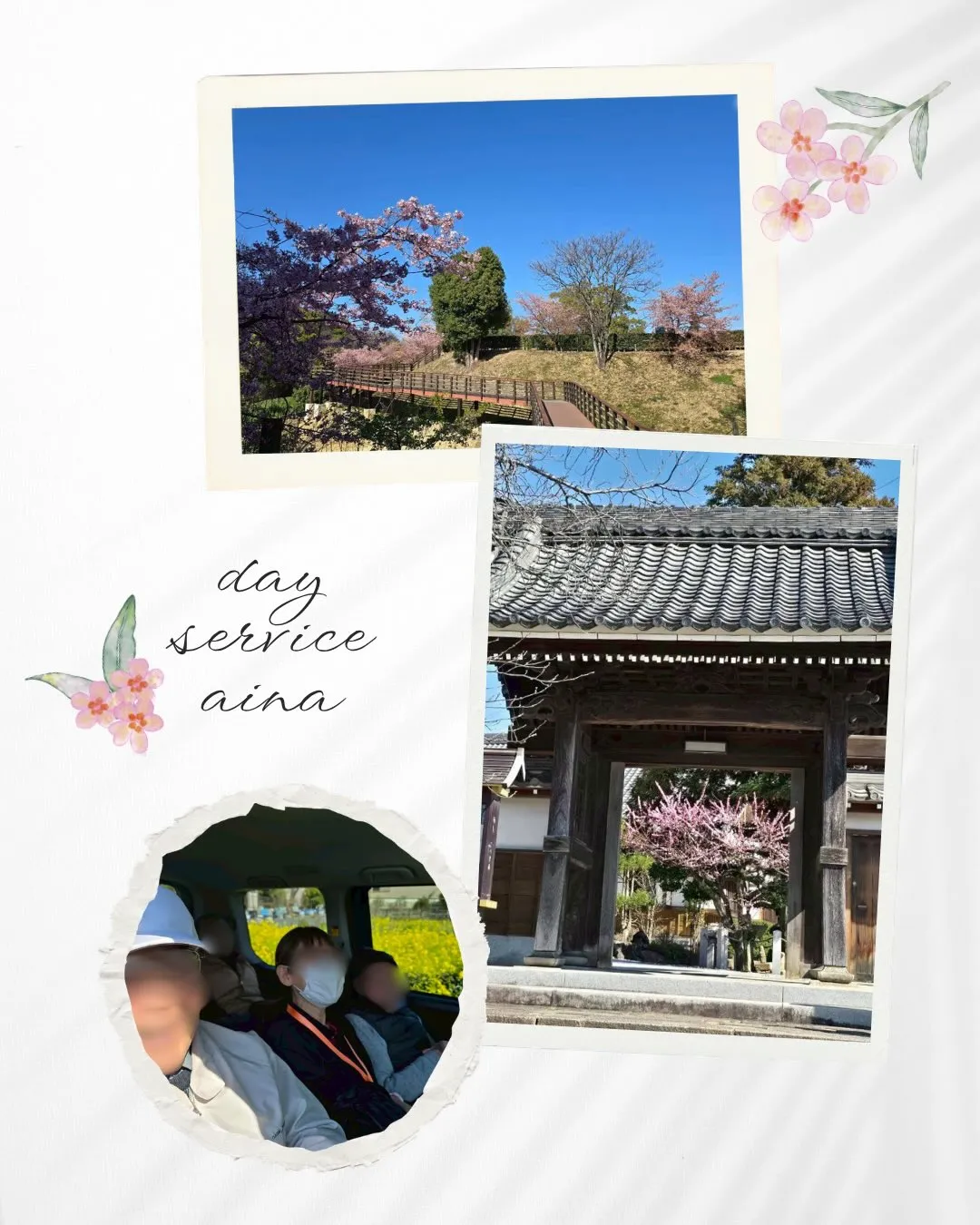 ぽかぽか陽気のお天気☀️が増えてきました✨