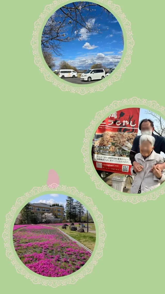 春の優しい風と満開の桜🌸