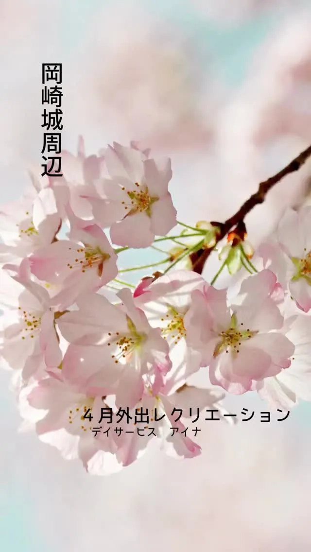 ✨岡崎城さんぽ✨