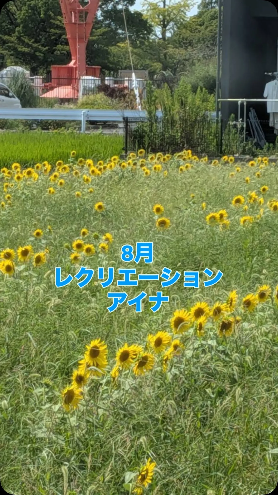 刈谷市歴史博物館へ行ってきました✨