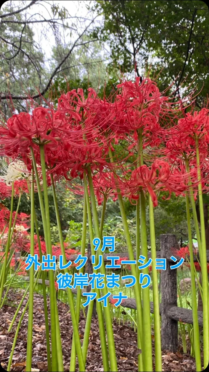 秋のお出かけ🍂